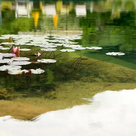 Otel Landgut Zapfenhof